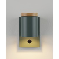 Светильник настенный Moderli V11294-1W Asheswood