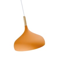 Светильник подвесной Moderli V11443-1P Eline