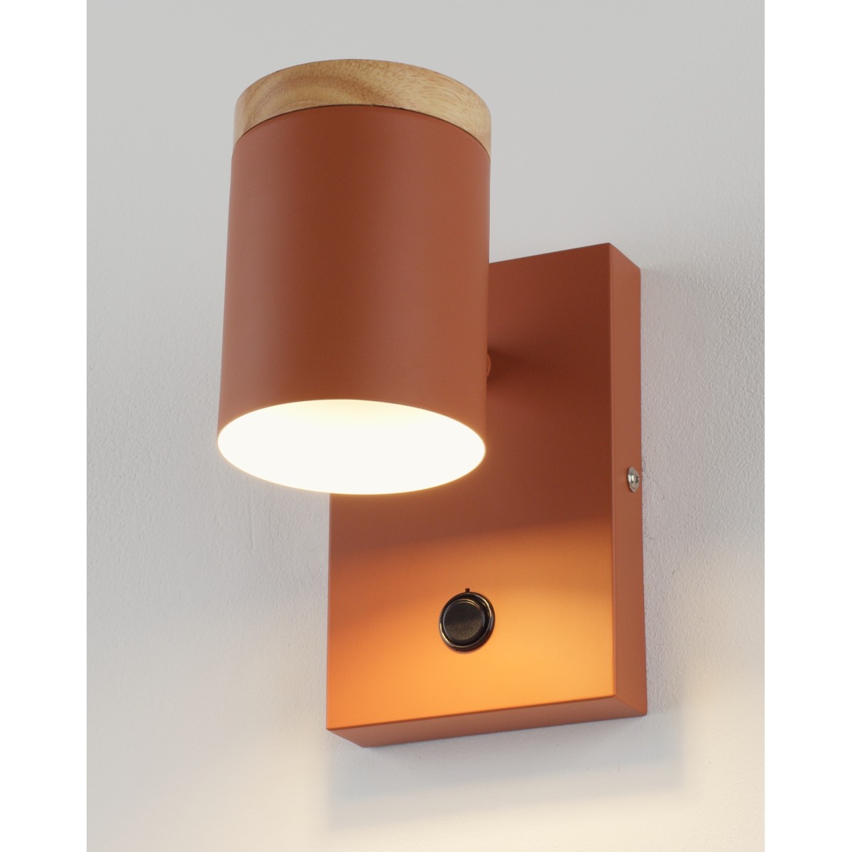 Светильник настенный Moderli V11293-1W Asheswood