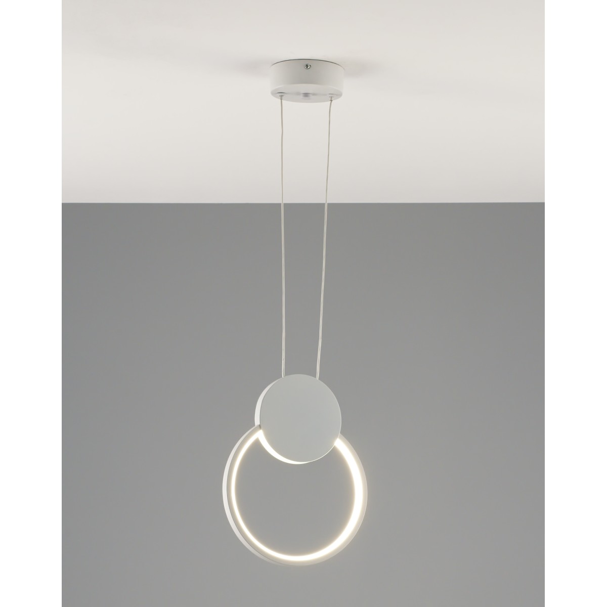 Светодиодный подвесной светильник Moderli V5020-1PL Store