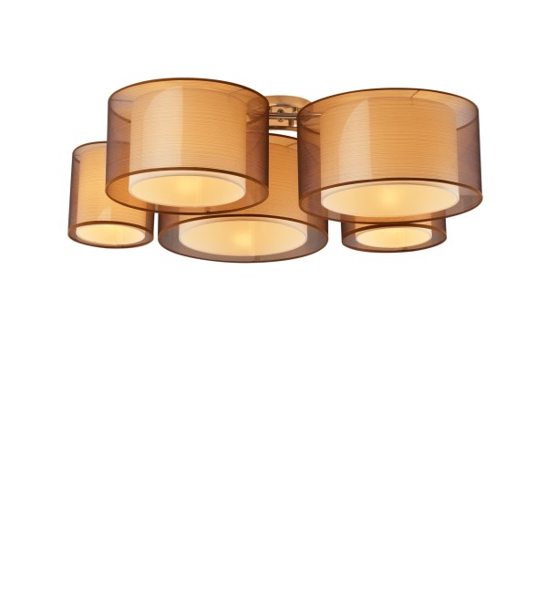 Светильник потолочный Moderli V10624-5C Room