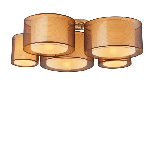 Светильник потолочный Moderli V10624-5C Room