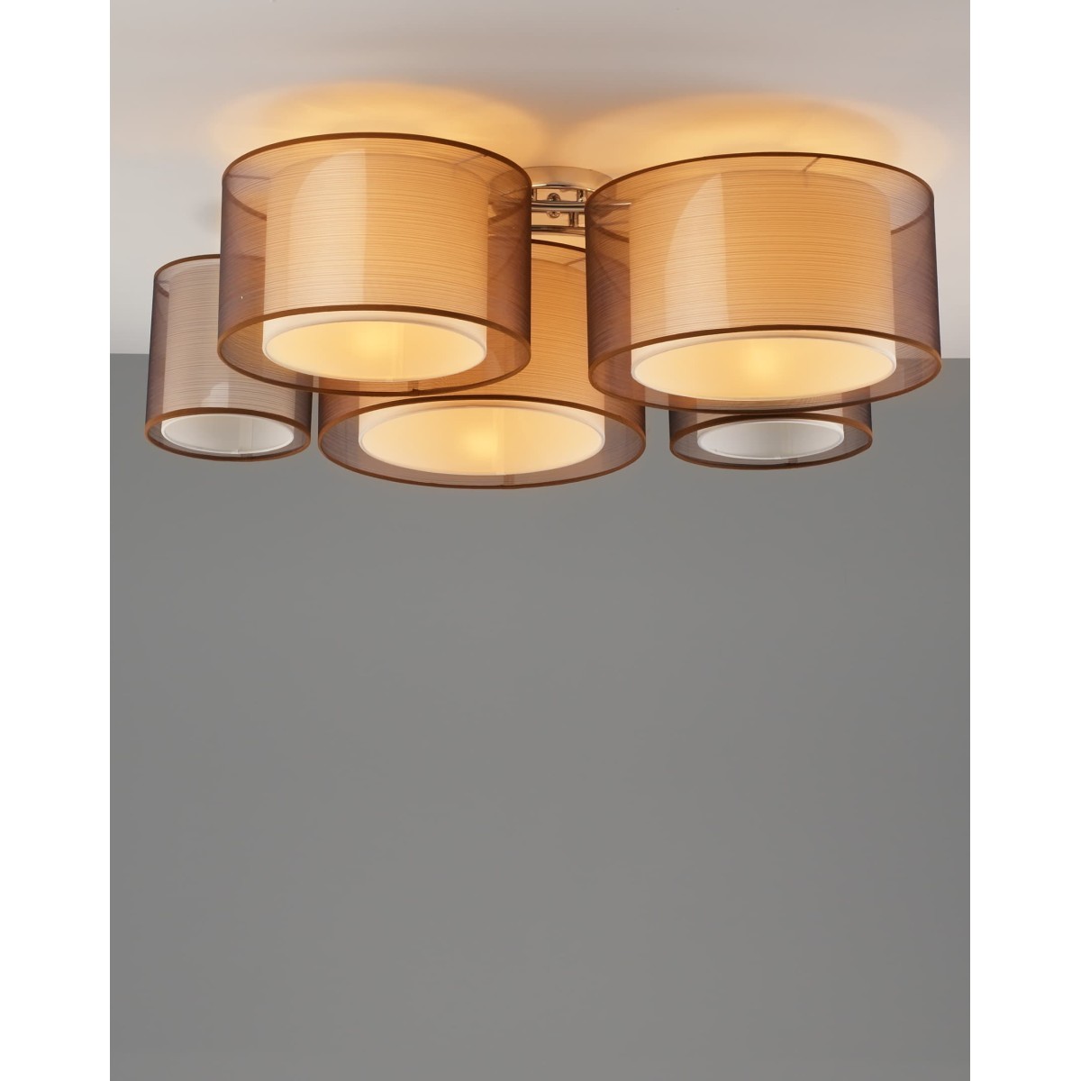 Светильник потолочный Moderli V10624-5C Room
