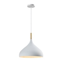 Светильник подвесной Moderli V11439-1P Eline