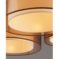 Светильник потолочный Moderli V10624-5C Room