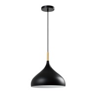 Светильник подвесной Moderli V11440-1P Eline