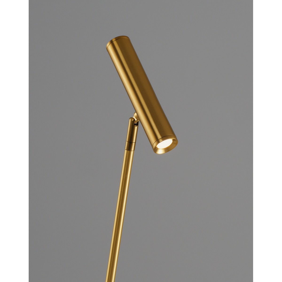 Торшер светодиодный Moderli V11081-FL Harmo