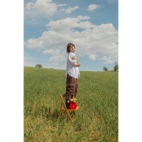 Ваза для цветов daisy, 20 см, красная