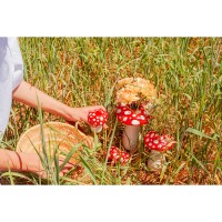 Ваза для цветов amanita, 19 см
