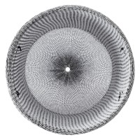 Корзина для хранения sustainable collection, D42х55 см, черная