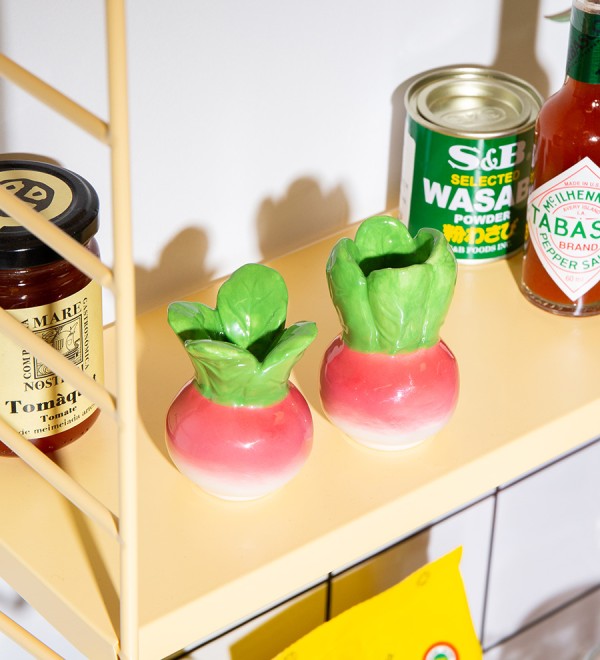 Набор из солонки и перечницы radish