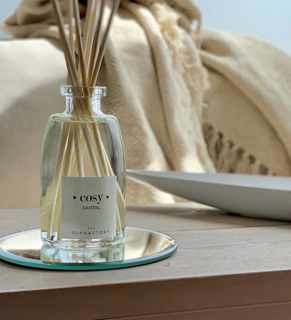 Диффузор ароматический the olphactory, cosy, santal, 100 мл