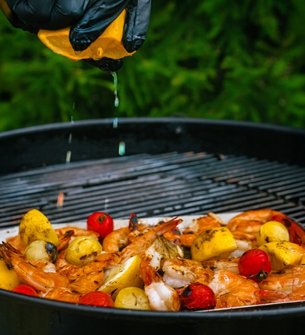 Противень для гриля перфорированный smart grill, 33х19 см