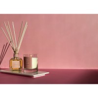 Диффузор ароматический lacrosse, green tea&lime, 100 мл
