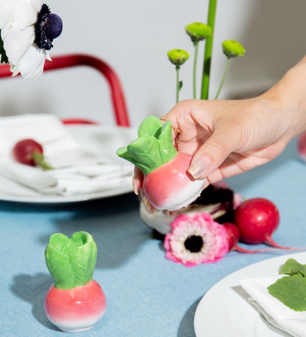 Набор из солонки и перечницы radish