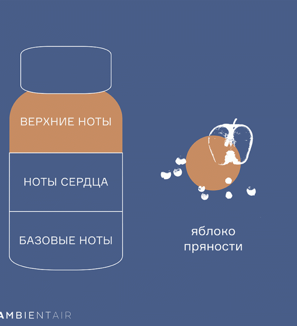 Диффузор ароматический gifting, caramel&apple, 100 мл
