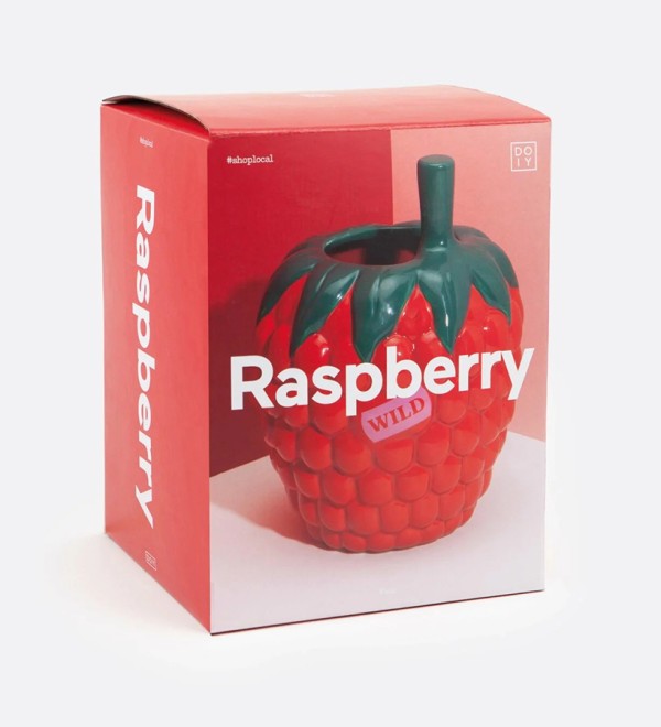 Ваза для цветов raspberry, 20 см