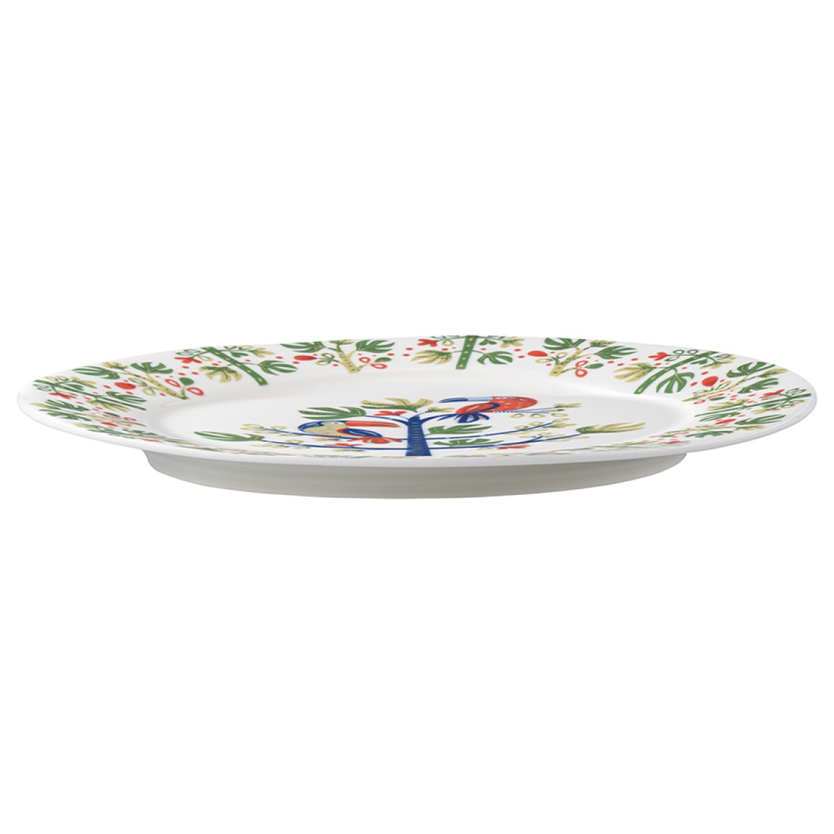 Тарелка toucan из коллекции birds of paradise, D28 см
