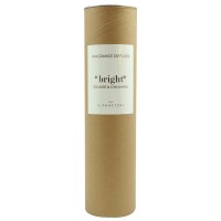 Диффузор ароматический the olphactory, bright, orange&cinnamon, 250 мл