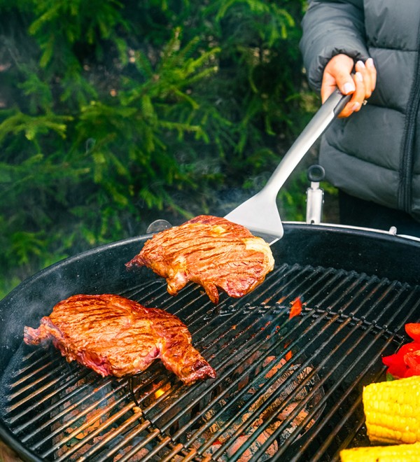 Набор для гриля и барбекю smart grill