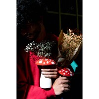Ваза для цветов amanita, 19 см