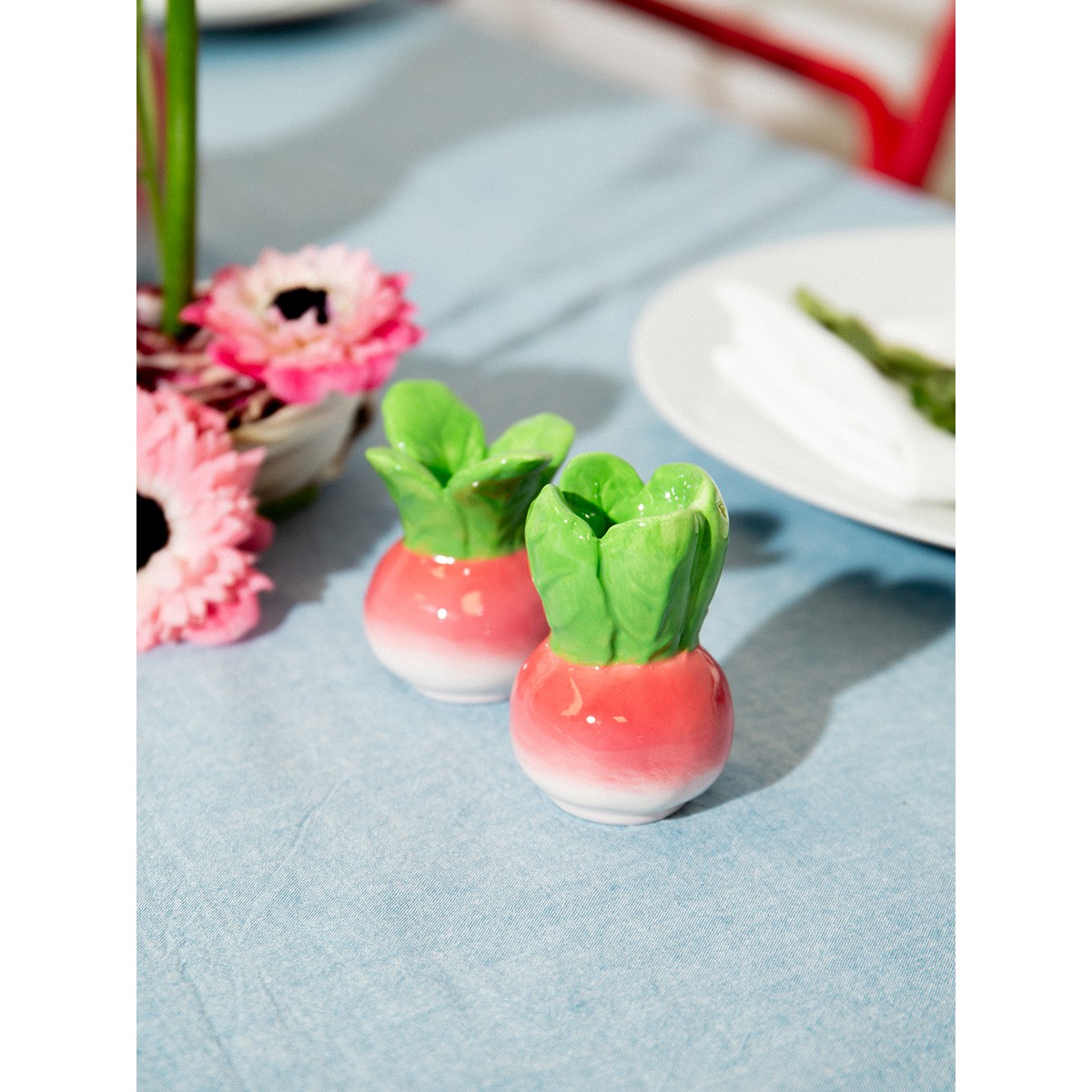 Набор из солонки и перечницы radish