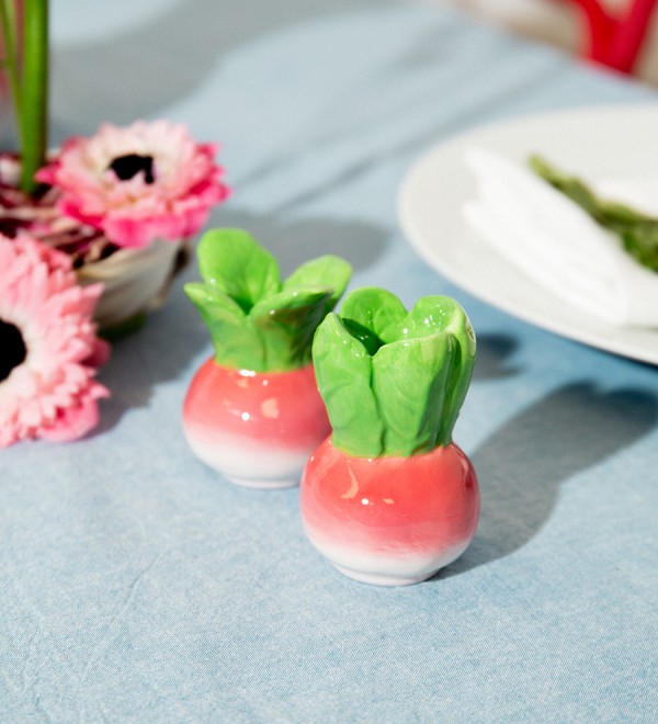 Набор из солонки и перечницы radish