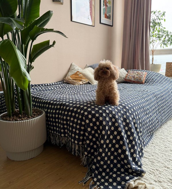 Покрывало из хлопка polka dots темно-синего цвета из коллекции essential, 230х250 см