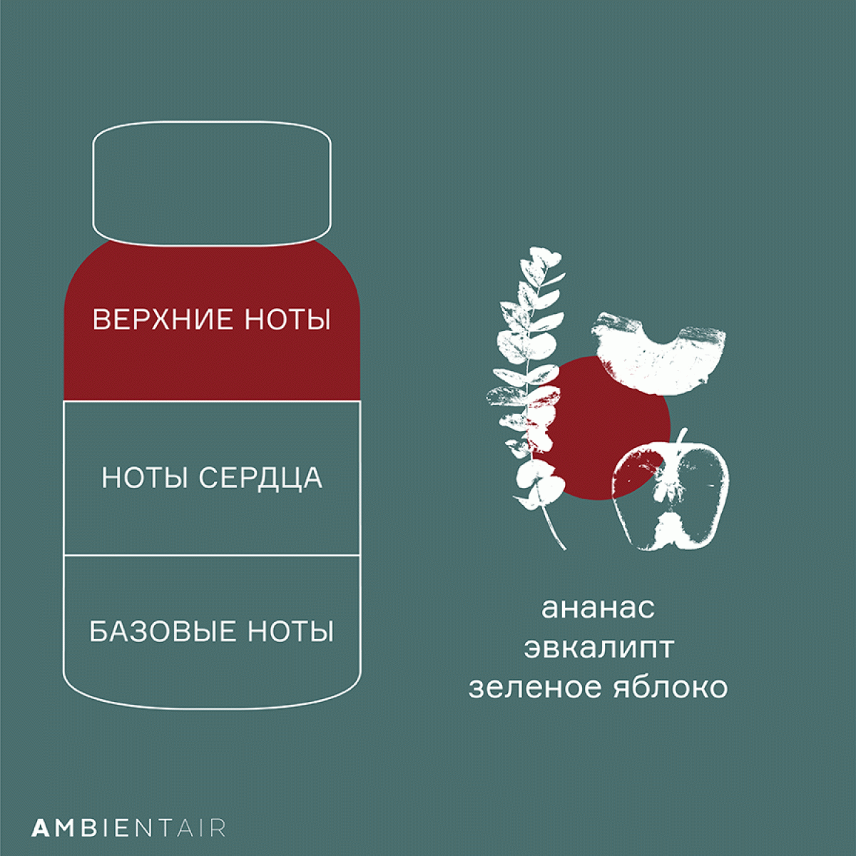 Диффузор ароматический gifting, cinnamon&apple, 100 мл