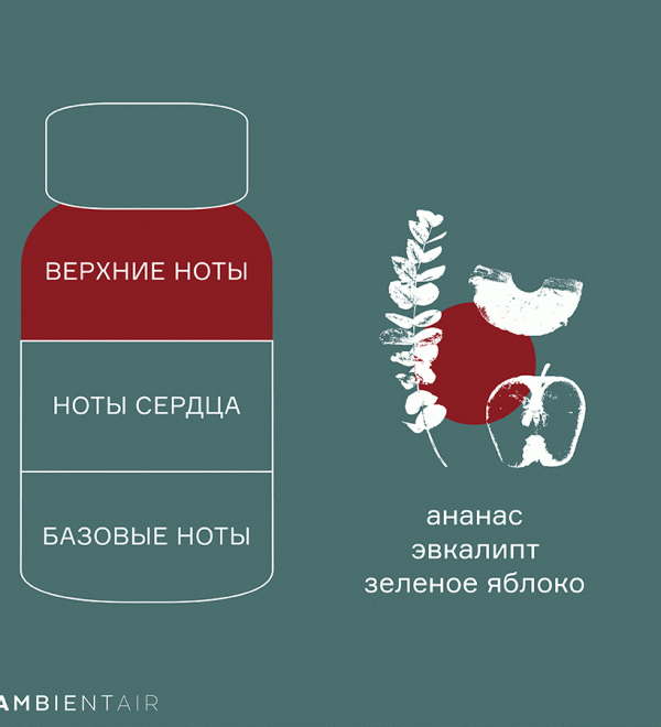 Диффузор ароматический gifting, cinnamon&apple, 100 мл