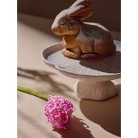 Блюдо сервировочное eden из коллекции blossom, 25х10см