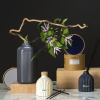 Диффузор ароматический nutmeg, leather & vanilla из коллекции edge, 200 мл, бежевый