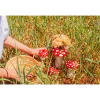Ваза для цветов amanita, 15 см