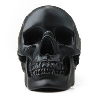 Органайзер для мелочей skull, черный