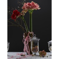 Бонбоньерка sugary в подарочной упаковке, 29,3 см