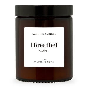 Свеча ароматическая the olphactory, breathe, oxygen, 30 ч