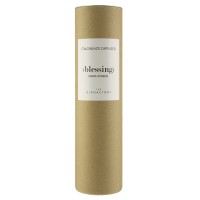 Диффузор ароматический the olphactory, blessing, dark amber, 250 мл