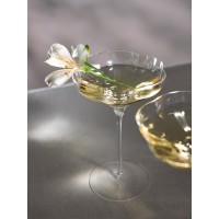 Набор креманок bloom в подарочной упаковке, 260 мл, 2 шт.