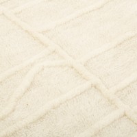 Ковер из новозеландской шерсти и хлопка raipur из коллекции ethnic, 200х300см