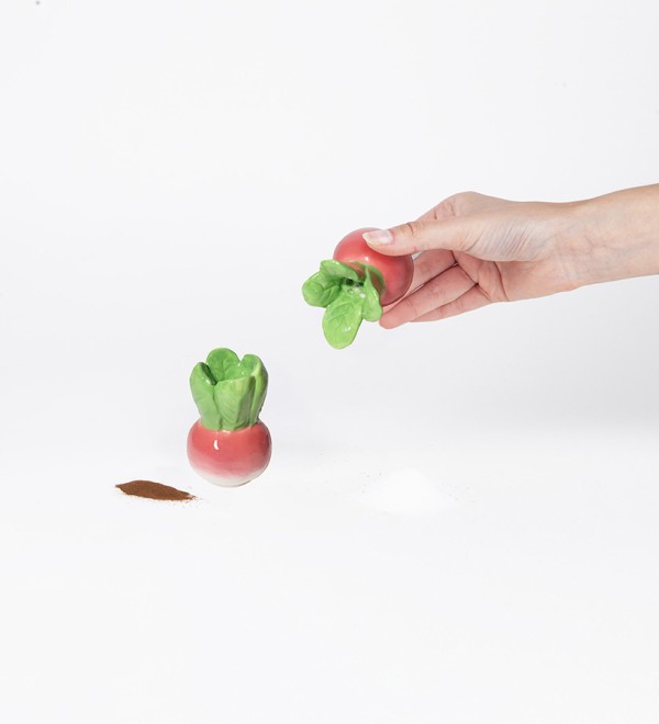 Набор из солонки и перечницы radish
