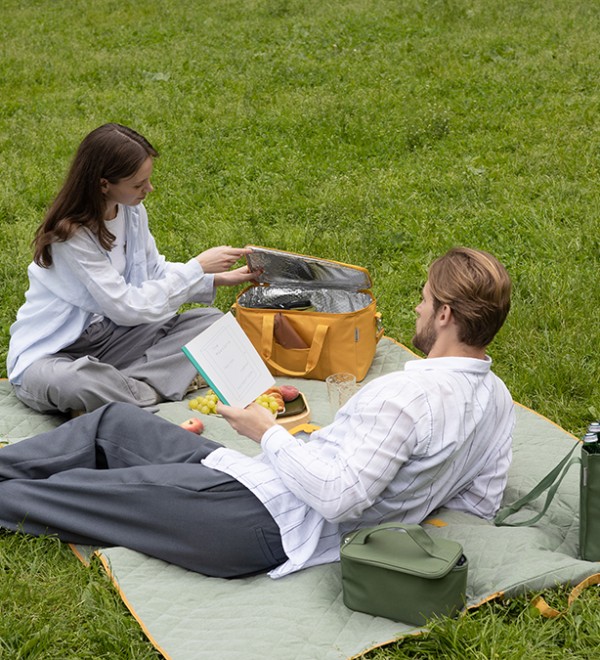 Термосумка для пикника smart picnic, l, горчичная