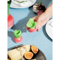 Набор из солонки и перечницы radish
