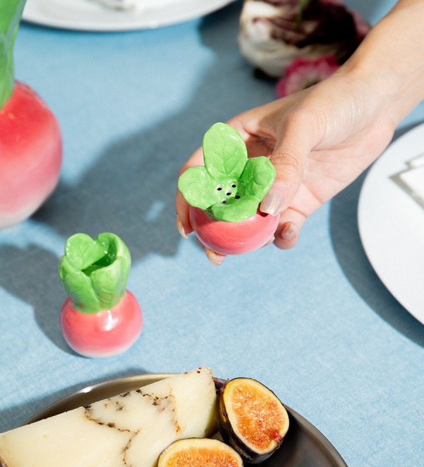 Набор из солонки и перечницы radish