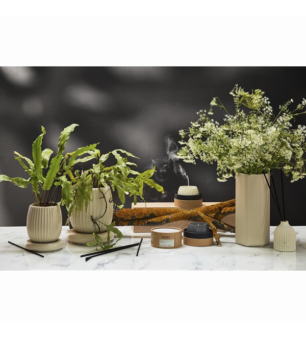 Свеча ароматическая green tea & pear blossom из коллекции edge, бежевый, 30 ч