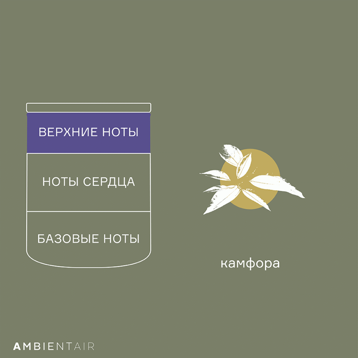 Свеча ароматическая enchanted forest, spruse, 40 ч