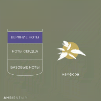 Свеча ароматическая enchanted forest, spruse, 40 ч