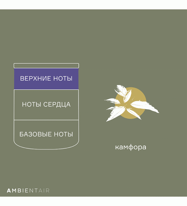 Свеча ароматическая enchanted forest, spruse, 40 ч