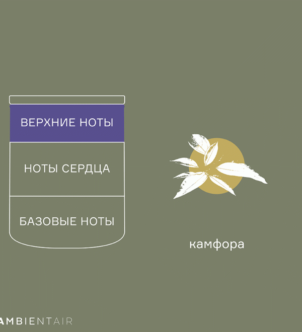 Свеча ароматическая enchanted forest, spruse, 40 ч