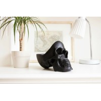 Органайзер для мелочей skull, черный