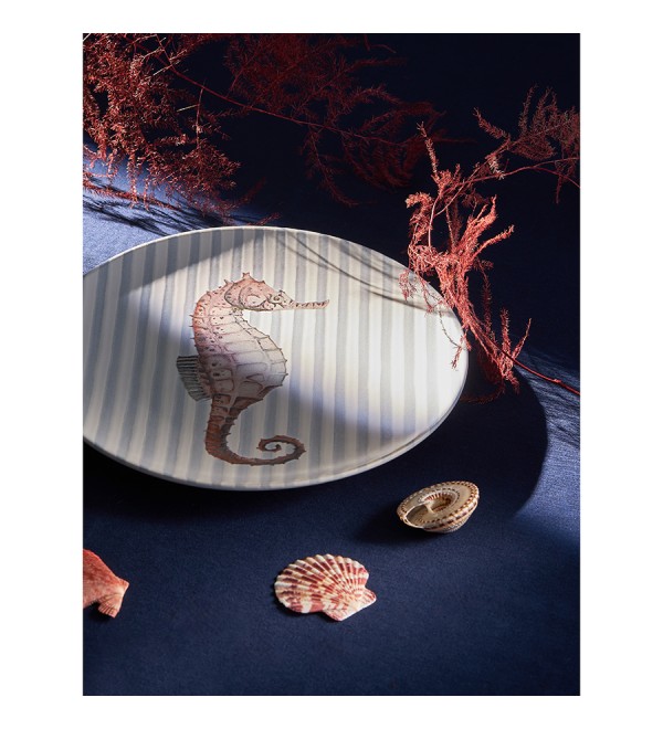 Набор из четырех тарелок aquarium из коллекции sea treasures, D21,5 см